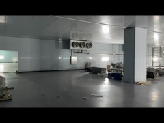 Carni congelate Carni di manzo di pollo di pollo di pollo di pollo