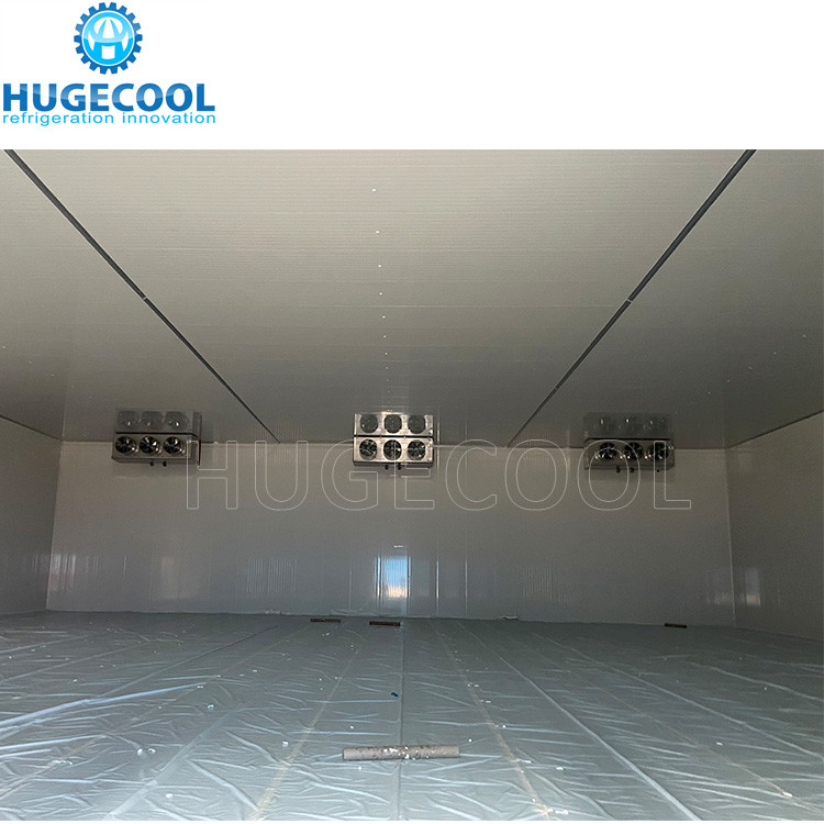 Industrial freezer room cold storage room meat ice cream freezer cold freezing