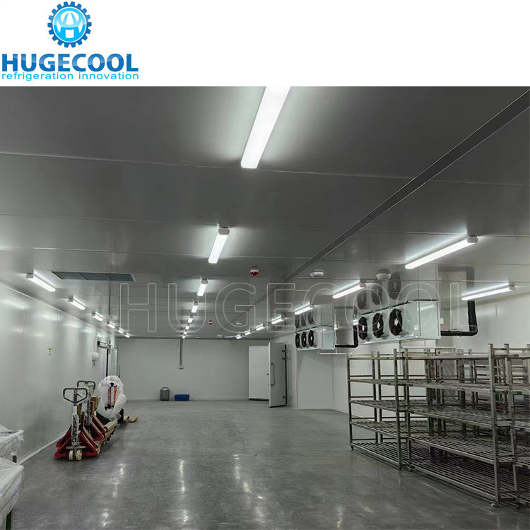 Industrial freezer room cold storage room meat ice cream freezer cold freezing