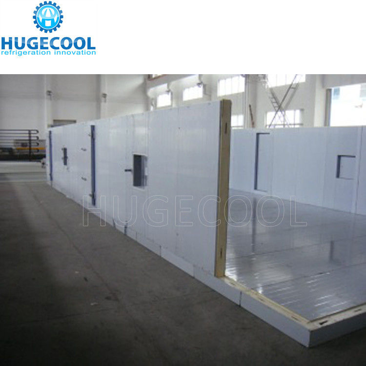 Customization Door Size Chill Storage Cellar Designed to Provide Uniform Cooling and Minimize Temperature Fluctuations